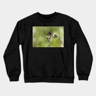 Soca Butterfly Crewneck Sweatshirt